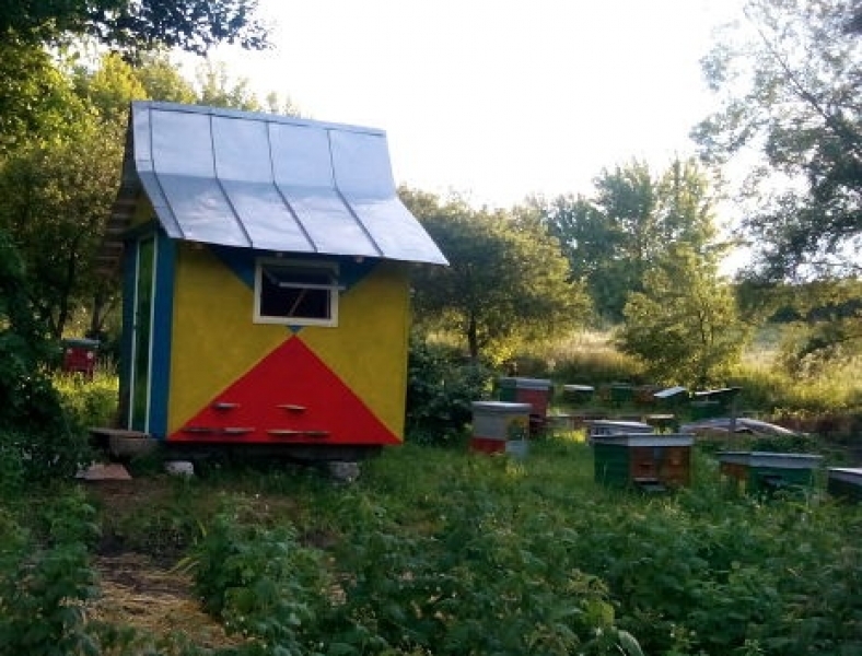 Пчеловод на севере Одесщины создал целебный дом для пчелотерапии