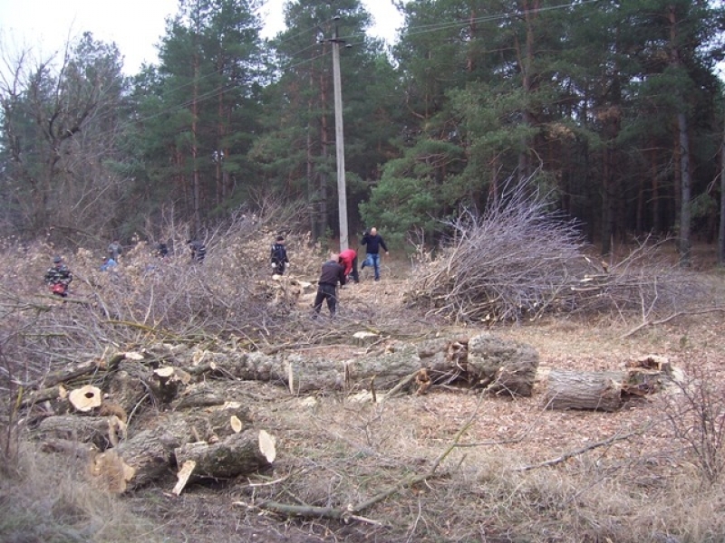 Волонтеры и Фонд Фурсина организовали заготовку дров на зиму семьям военных из Одесской области