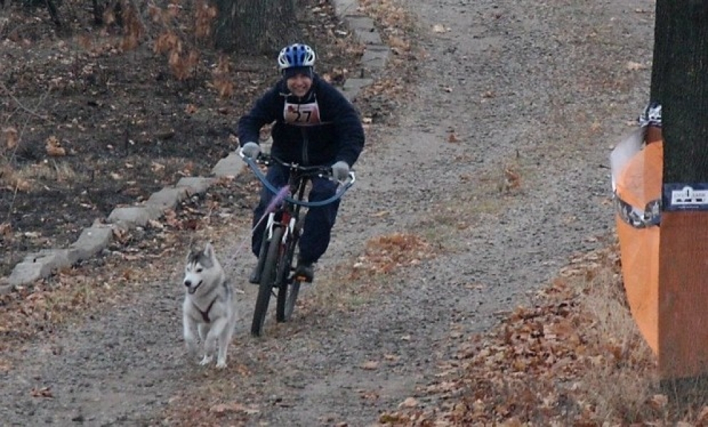 Одессит завоевал медаль всеукраинской гонки на собаках в Харькове