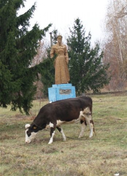 На севере Одесской области вандалы изуродовали скульптуру советского героя гражданской войны