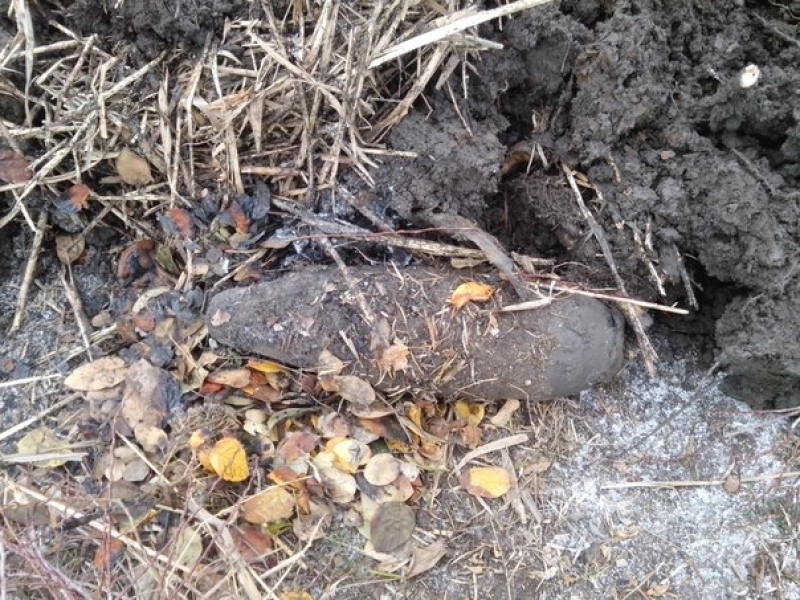 Местные жители нашли бомбу весом 70 кг возле детского сада 