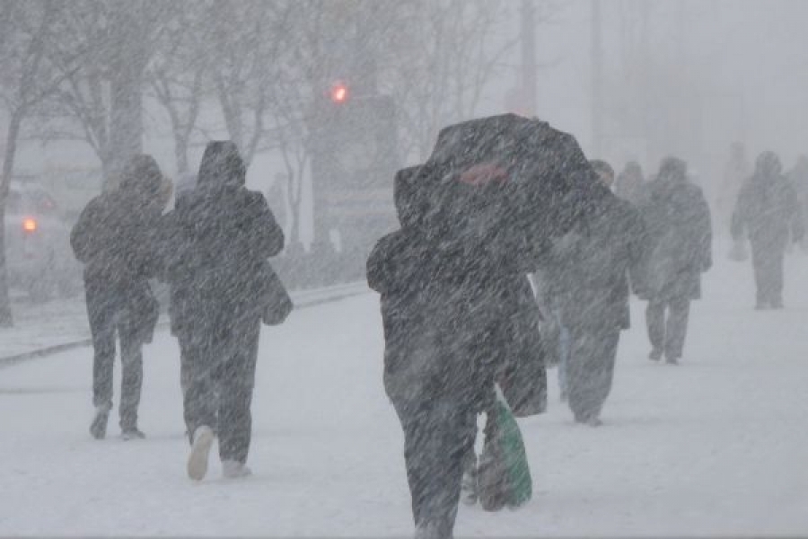 Спасатели обнаружили замерзший труп мужчины на въезде в Рени Одесской области