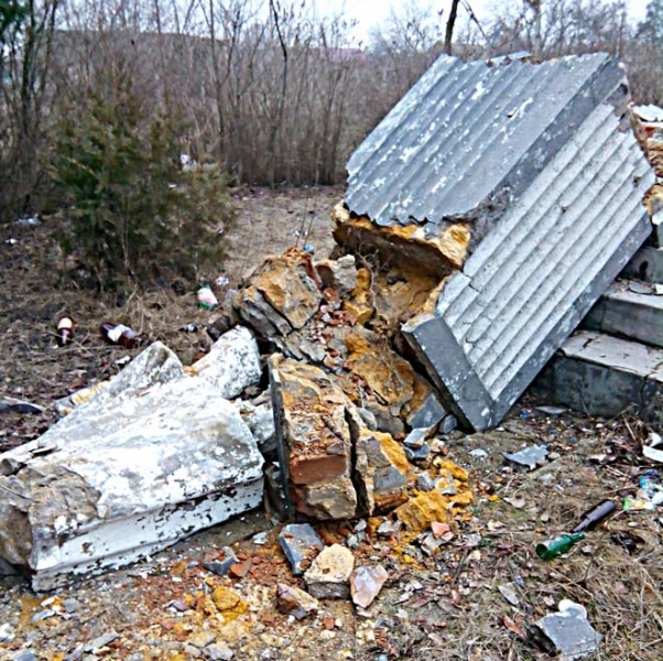 Неизвестные обрушили памятник Ленина в родном селе Порошенко в Одесской области