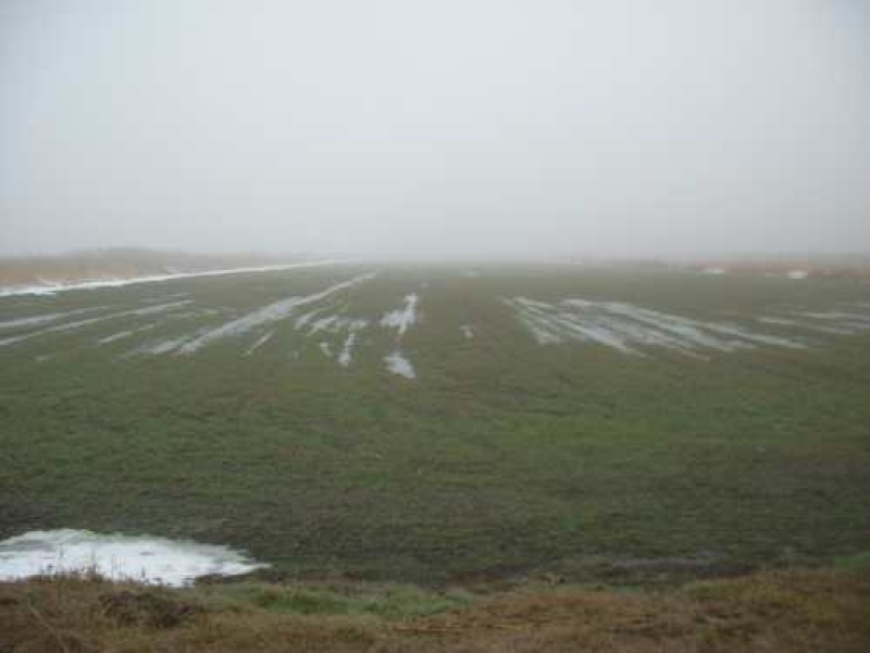 Паводок затопил более тысячи гектаров озимых в Килийском районе Одесской области