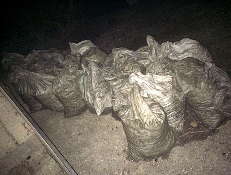 Рыбаки незаконно выловили в Аджалыкском лимане почти тонну мидий