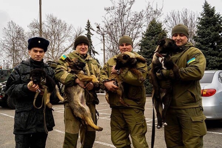 Одесская Нацгвардия пополнилась четвероногими новобранцами (фото)