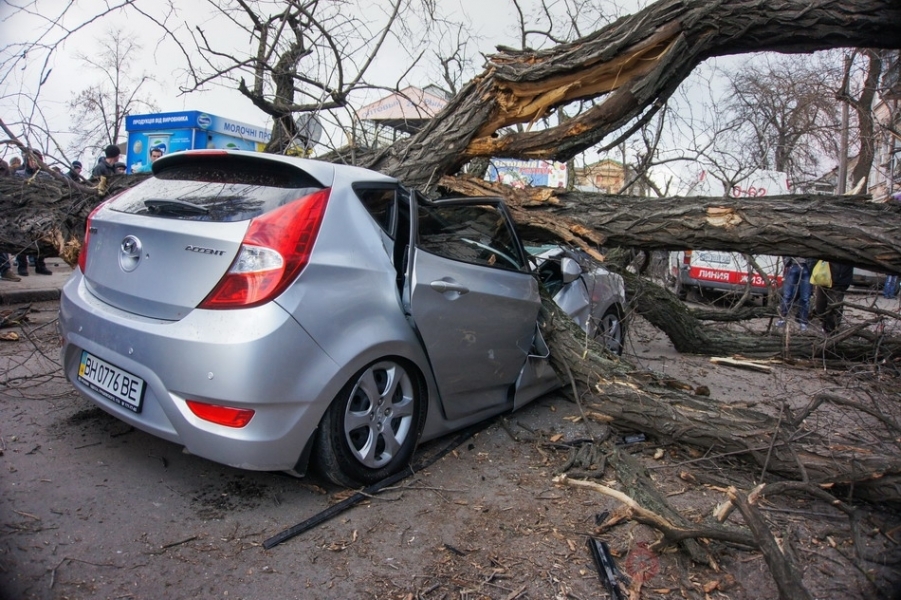 Дерево упало на автомобиль возле Нового рынка в Одессе: трое пострадавших (фото)
