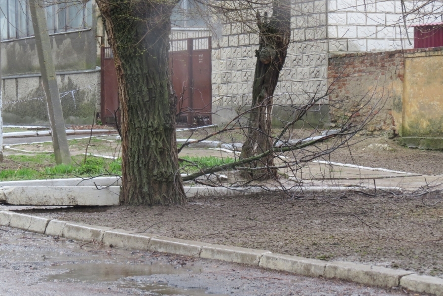 Ураганный ветер в Болграде сорвал шифер с домов и нанес удар по урожаю абрикос