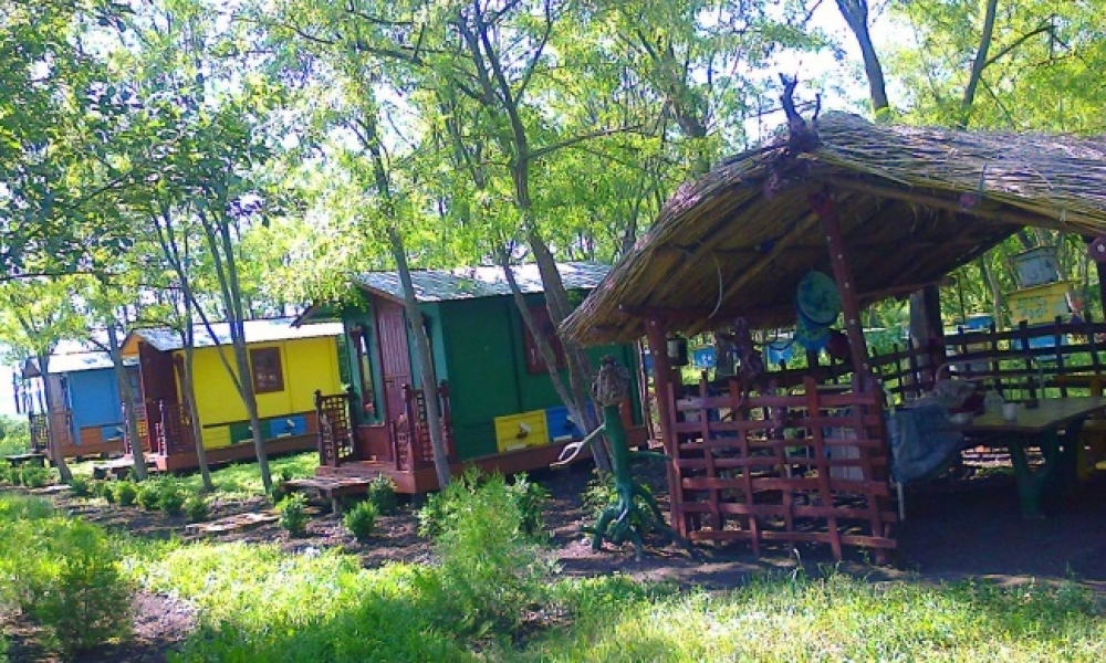 Житель Красных Окон создал санаторий, где лечат пчелами (фото)