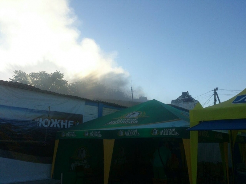 Пляжное кафе горело в Южном под Одессой (фото)