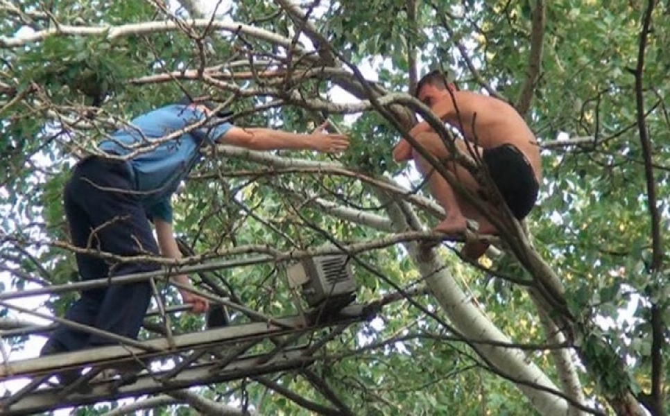Одесские спасатели сняли с верхушки дерева 12-летнего мальчика