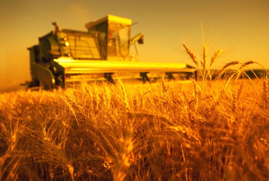 Аграрии Одесской области собрали первый миллион тонн урожая
