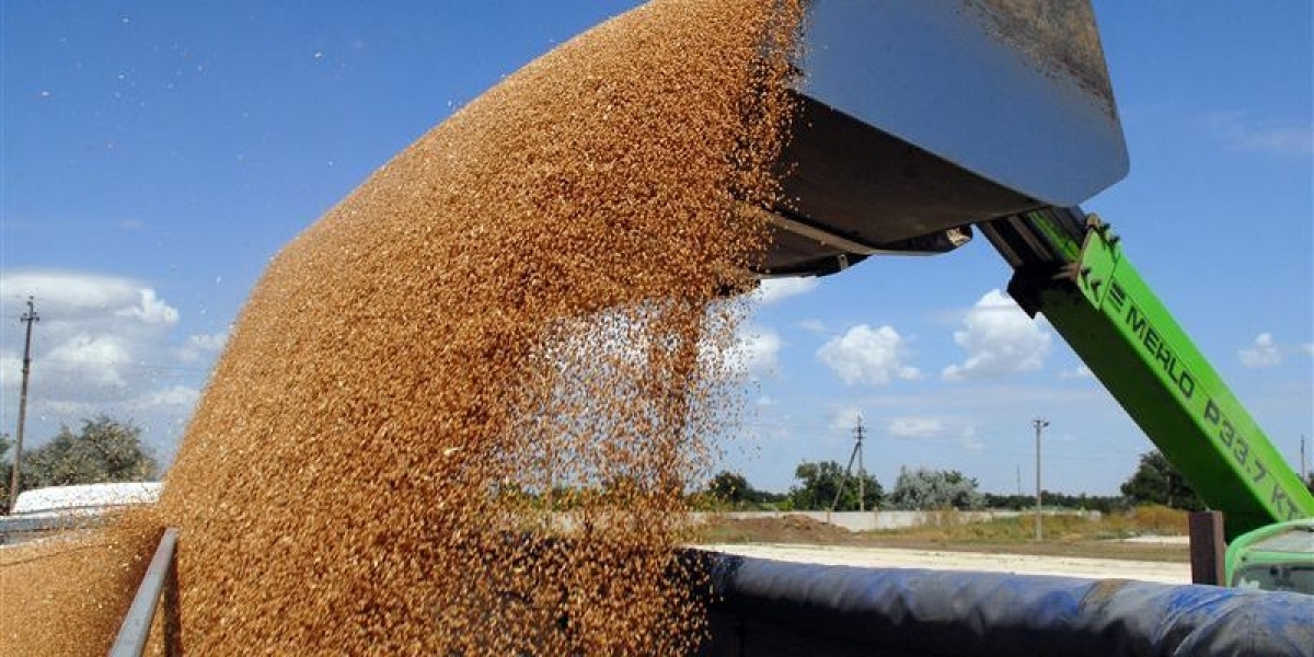 В рамках борьбы с контрабандой на Одесщине возьмутся за экспортеров зерна