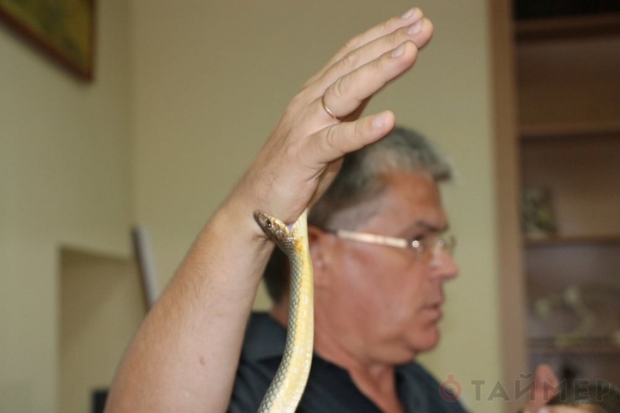 Директор Одесского зоопарка учил спасателей обращаться со змеями (фото)