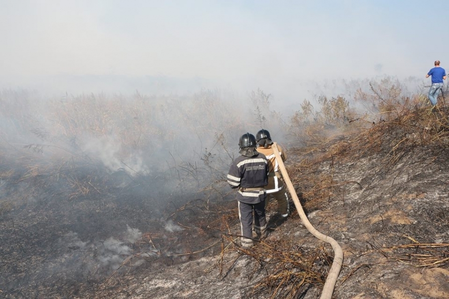 Спасатели пытаются предотвратить новый масштабный пожар на полях орошения в Одессе (фото)