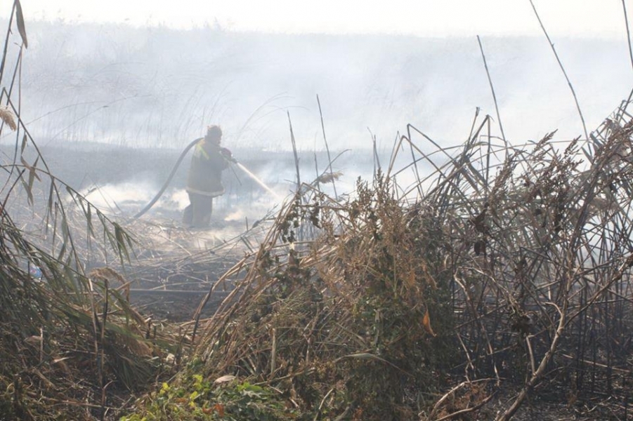 Спасатели до сих пор борются с возгоранием ила на полях орошения в Одессе (фото)