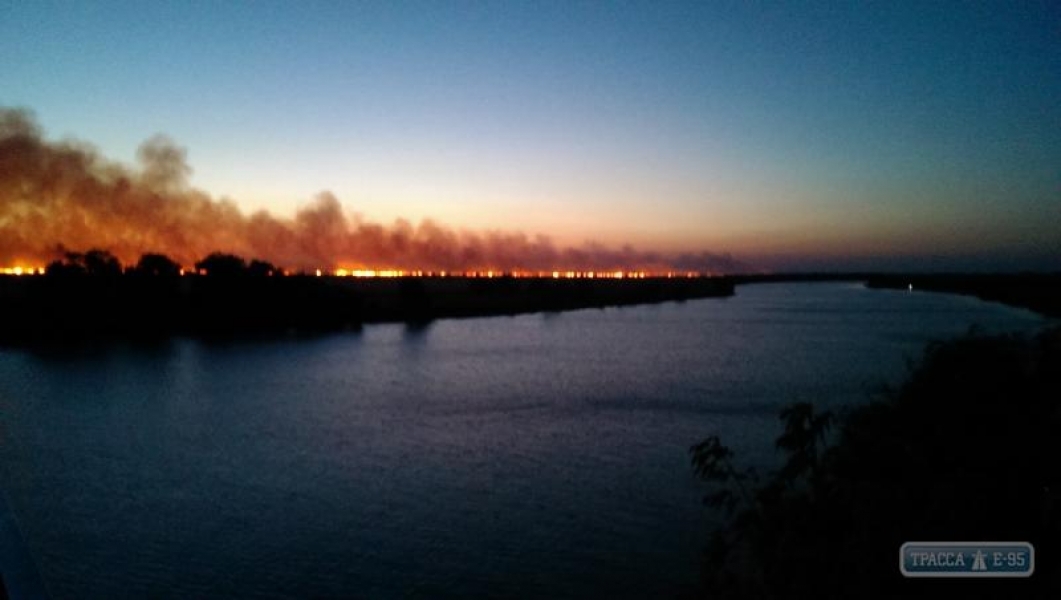 Пожар в плавнях Днестра в Одесской области потух сам – Госслужба ЧС 