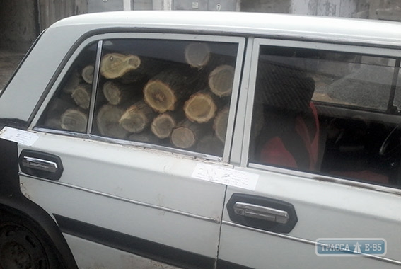 Ананьевская полиция борется с незаконными лесорубами (фото)