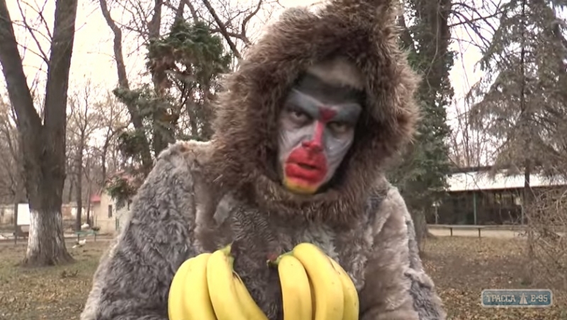 Директор Одесского зоопарка снялся в новогоднем клипе в образе обезьяны (видео)