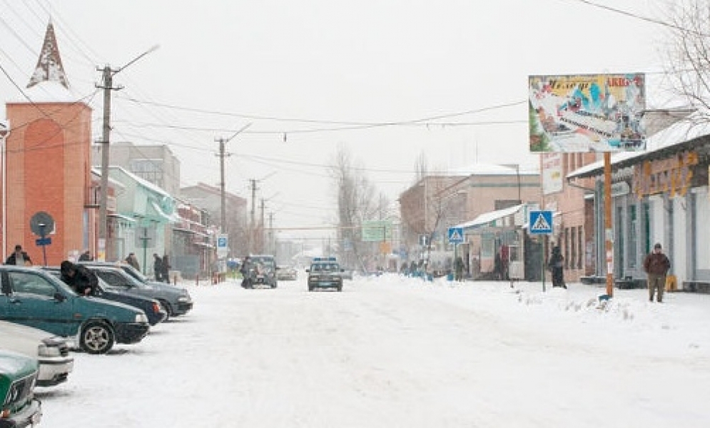 Сильный снегопад обрушился на север Одесской области (фото)
