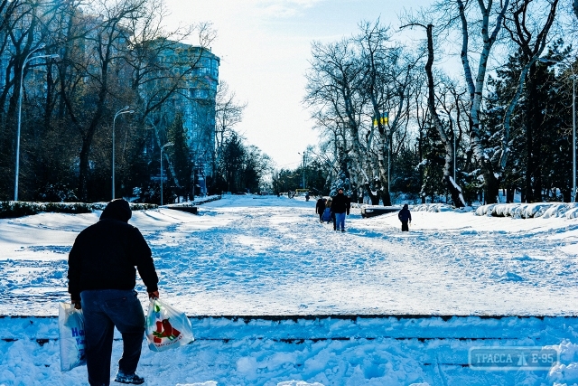 Одесский парк Шевченко в снегу (фоторепортаж)