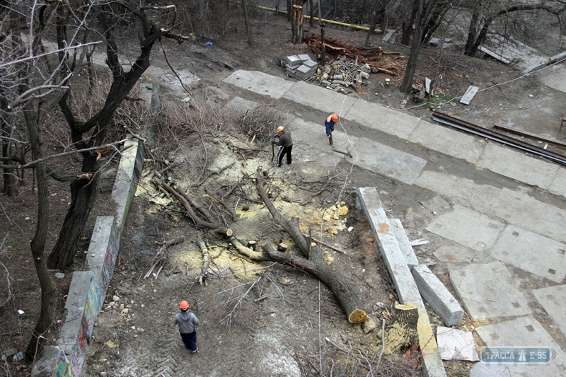 Рабочие спилили деревья под Тещиным мостом в Одессе. В мэрии говорят, что так нужно