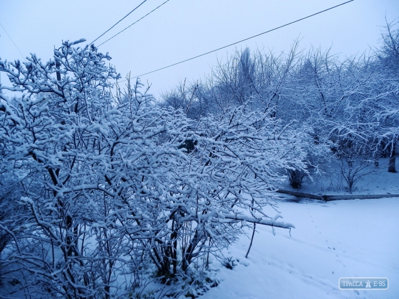 Снег засыпал северные районы Одесской области (фото)