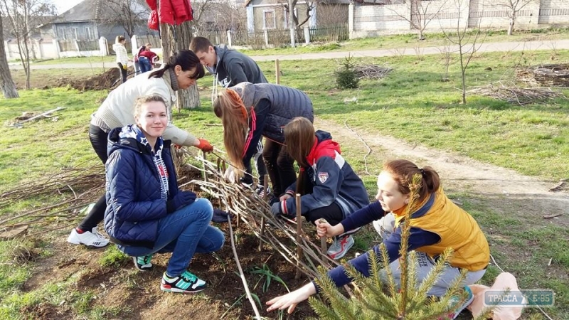 Волонтеры создают этнопарк в поселке Коминтерновское
