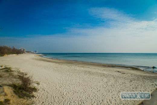 Власти Одессы выдали предписание четырем арендаторам на приведение в порядок территории пляжей