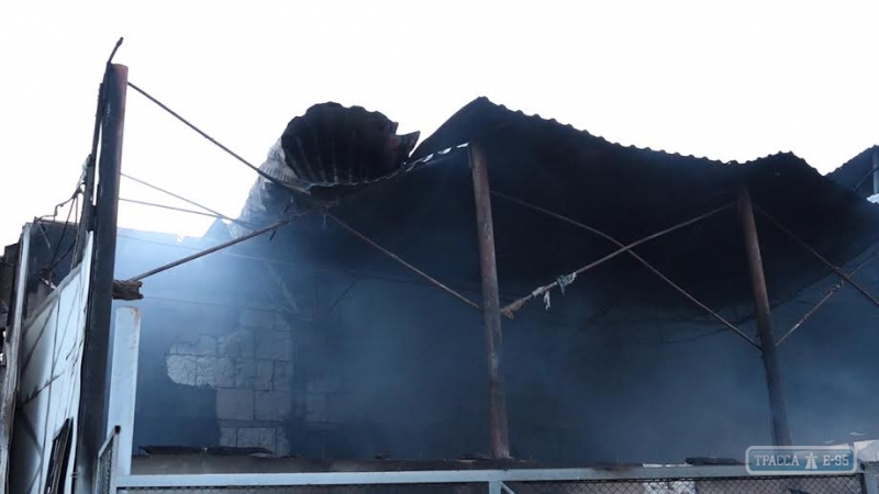Масштабный пожар произошел в фермерском хозяйстве на юге Одесской области (фото)