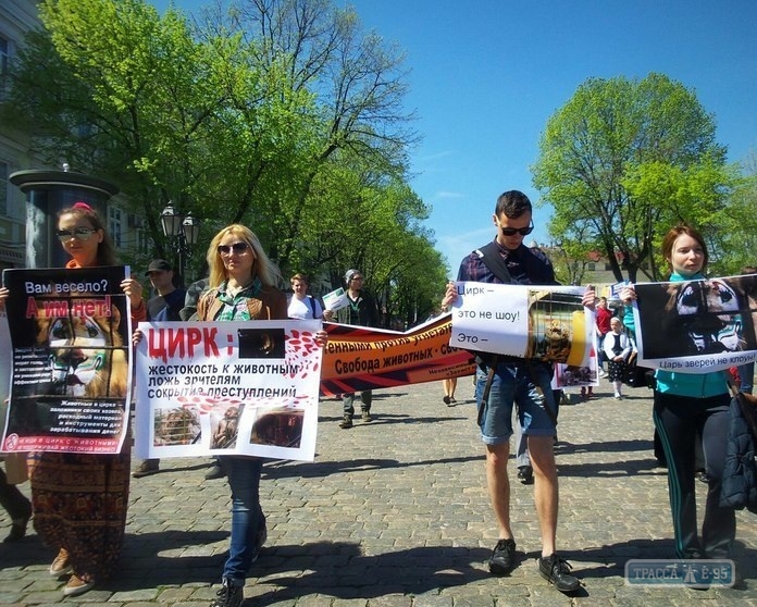 Зоозащитники в центре Одессы протестовали против эксплуатации диких животных в цирке
