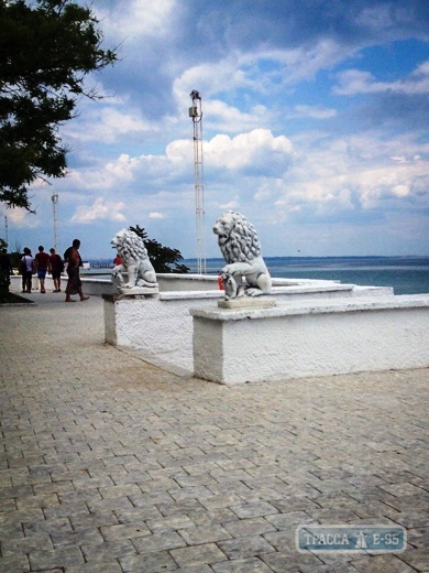 Скульптуры львов появились на пляже 