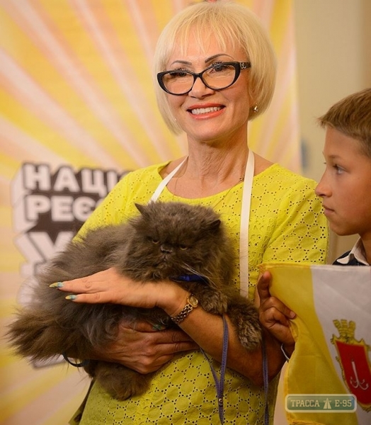 Регистраторы национальной Книги рекордов признали одесского кота главным долгожителем страны