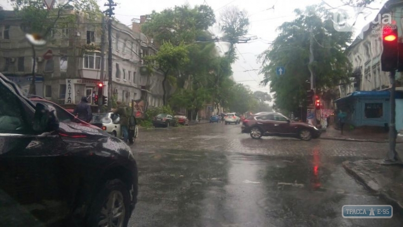 Дерево в центре Одессы из-за непогоды упало на дорогу, придавив автомобиль