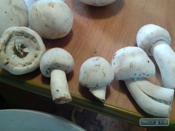 Семья в Белгород-Днестровском районе отравилась грибами