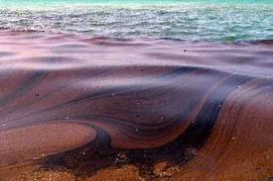Пятно нефти с затонувшего в Одесской области судна достигло 5 километров и продолжает увеличиваться