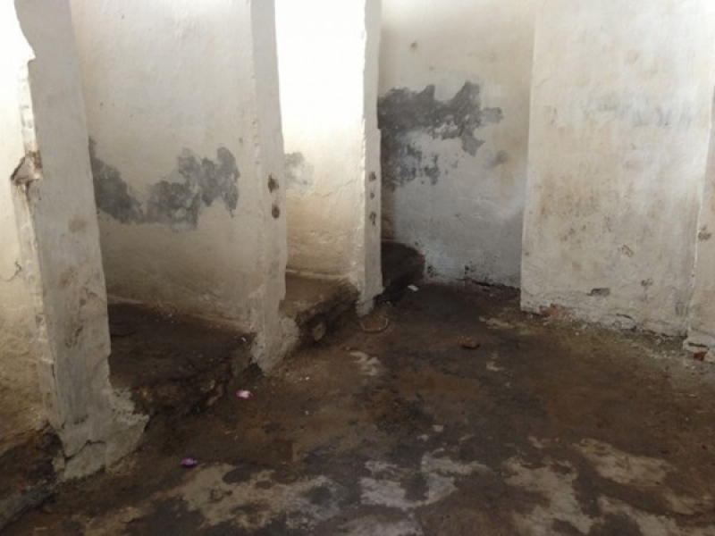 Ученики одной из школ Одесской области вынуждены пользоваться грязным туалетом, где живут крысы