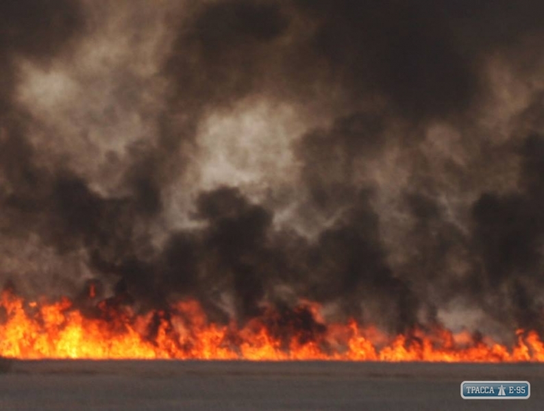Под Одессой потушили масштабный пожар