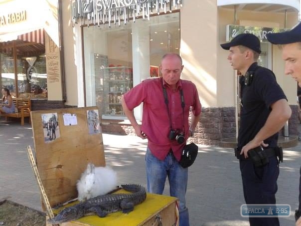 Полицейские в центре Одессы поймали крокодила (фото)