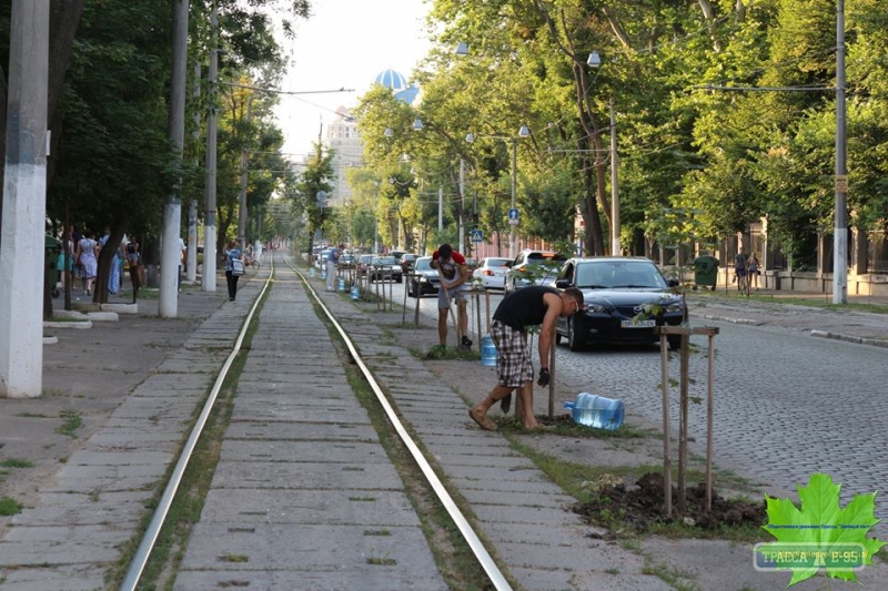 Одесские волонтеры спасали от засухи молодые деревья на Французском бульваре (фото)