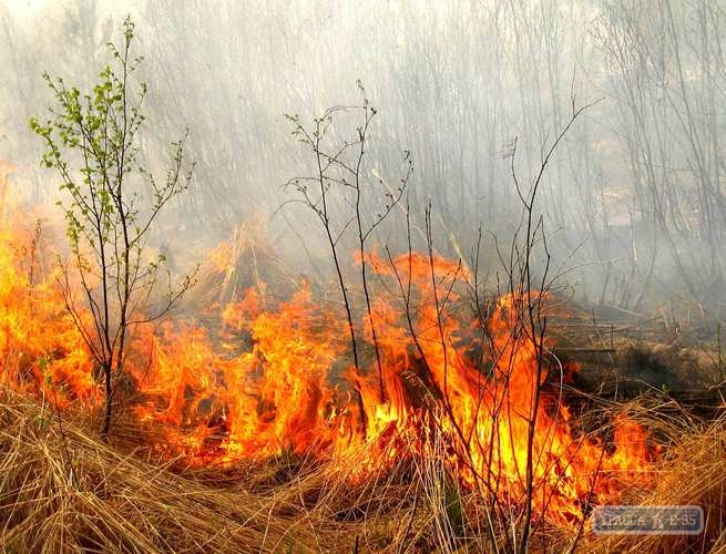 В Одесской области объявлена чрезвычайная пожарная опасность