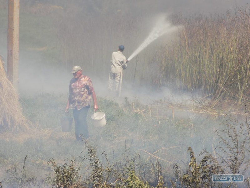 Жилой дом и пшеничное поле едва не сгорели из-за возгорания сухой травы на севере Одесщины