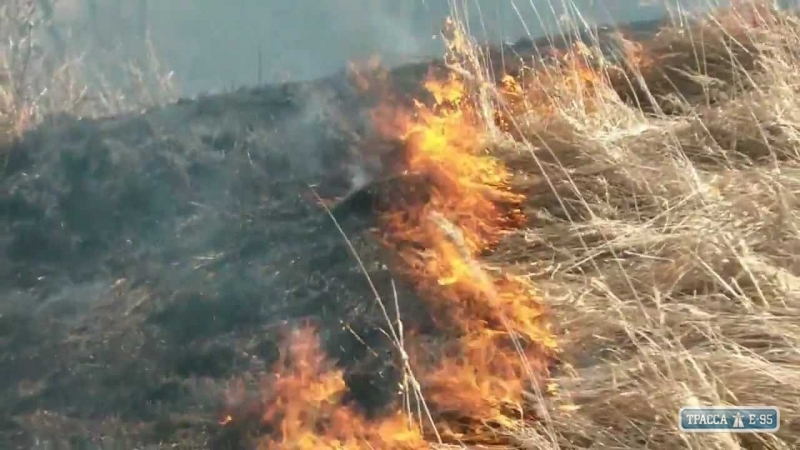 Масштабный пожар произошел в сельхозкооперативе на юге Одесской области
