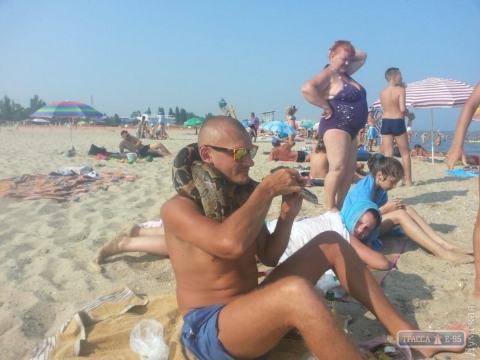 На пляже под Одессой нашли питона (фото)