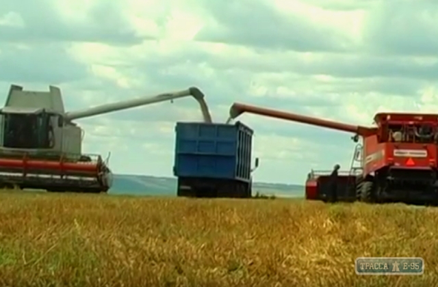 Рекордный урожай ячменя собрали на севере Одесской области