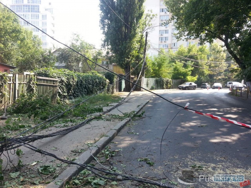 Деревья, упавшие в разных районах Одессы, повредили автомобили и обесточили улицу (фото)