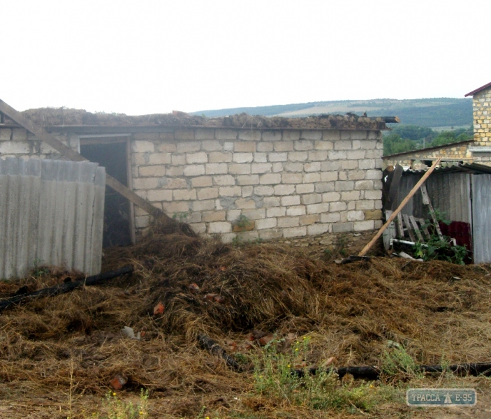 В Одесской области из-за удара молнии сгорел сарай и 3 тонны сена