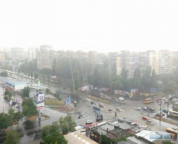 Поваленные деревья и затопленные улицы: Одессу накрыл мощнейший шторм