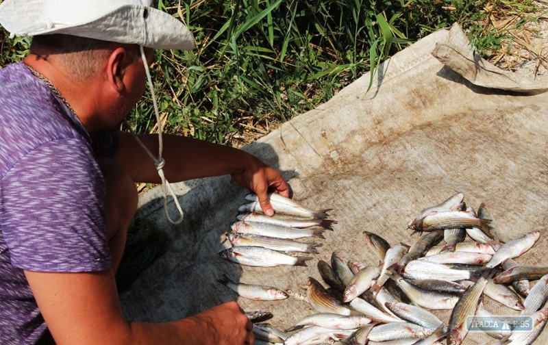 Незаконный улов рыбы отобран у браконьеров на Тузловских лиманах и передан участникам АТО