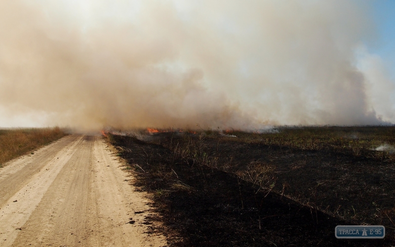 В Тарутинском районе выжигают заповедные земли, уничтожая редкие виды растений